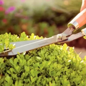 Jardinería y Camping